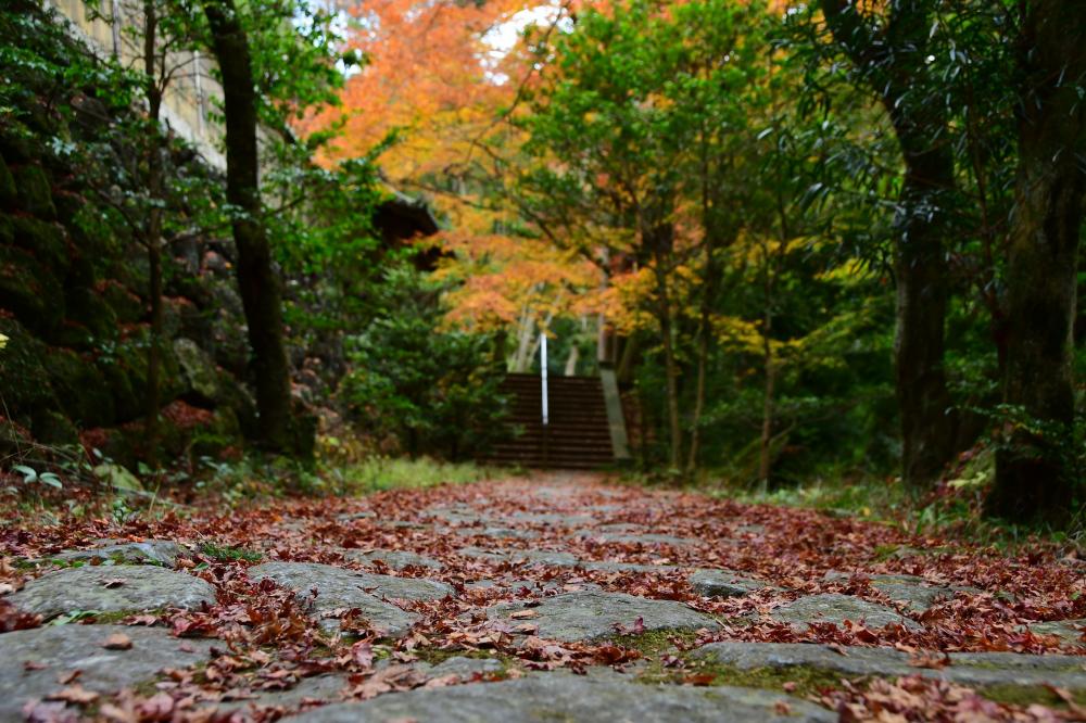 生駒山の紅葉