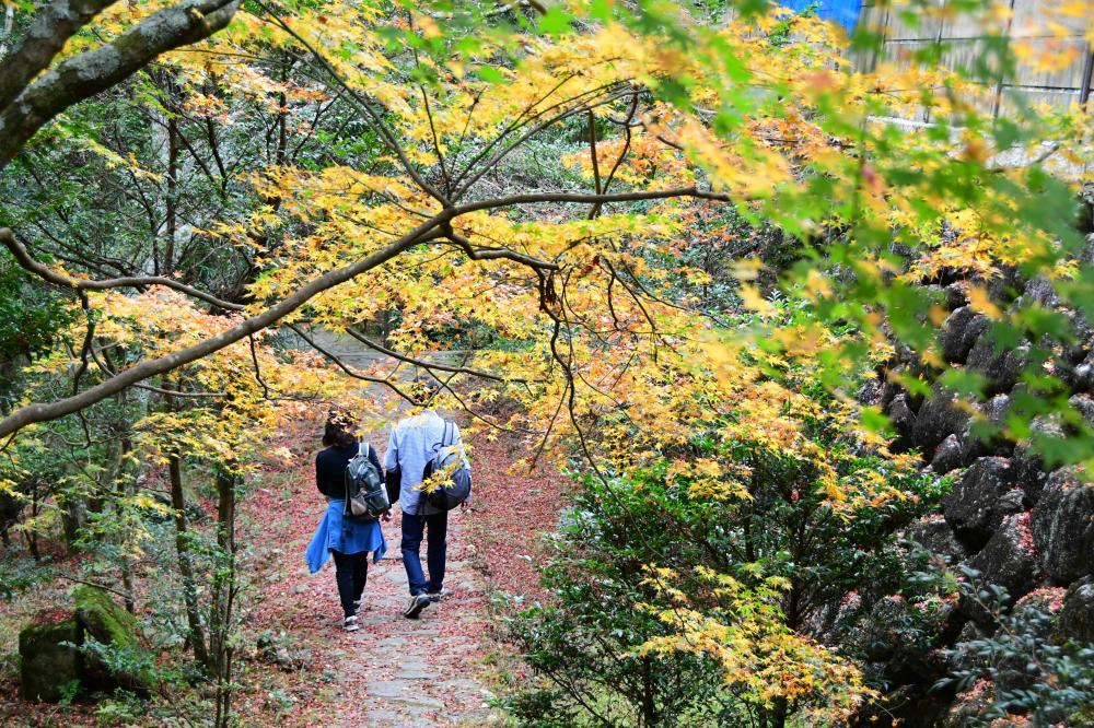 生駒山の紅葉1