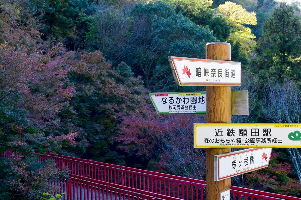 枚岡公園の紅葉3