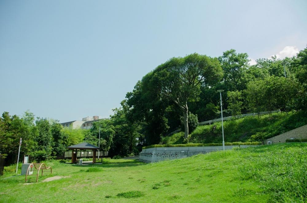 枚岡公園の写真1