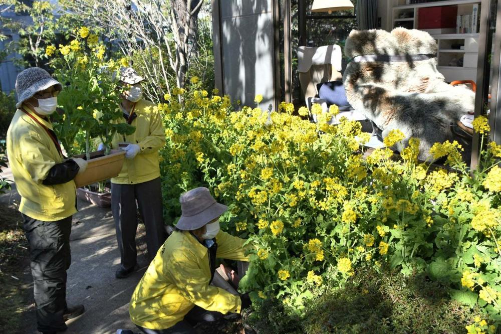 飾る様子