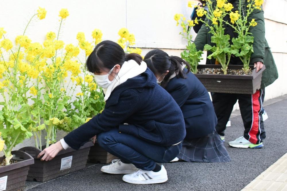 設置する女子高生ら