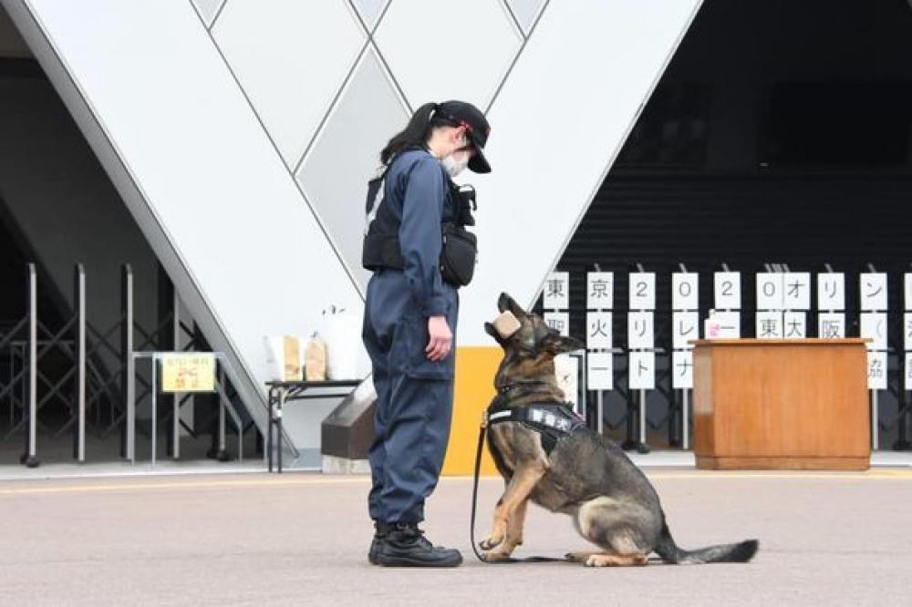 訓練に参加する警察犬