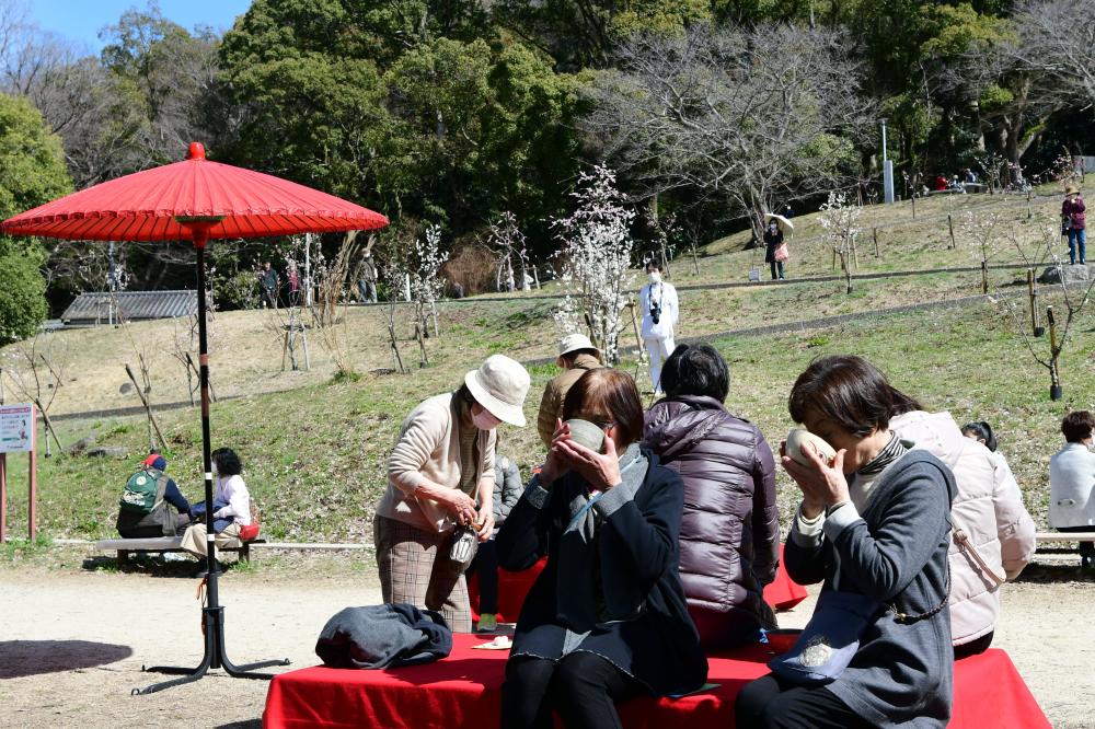 野点を楽しむ参加者たち