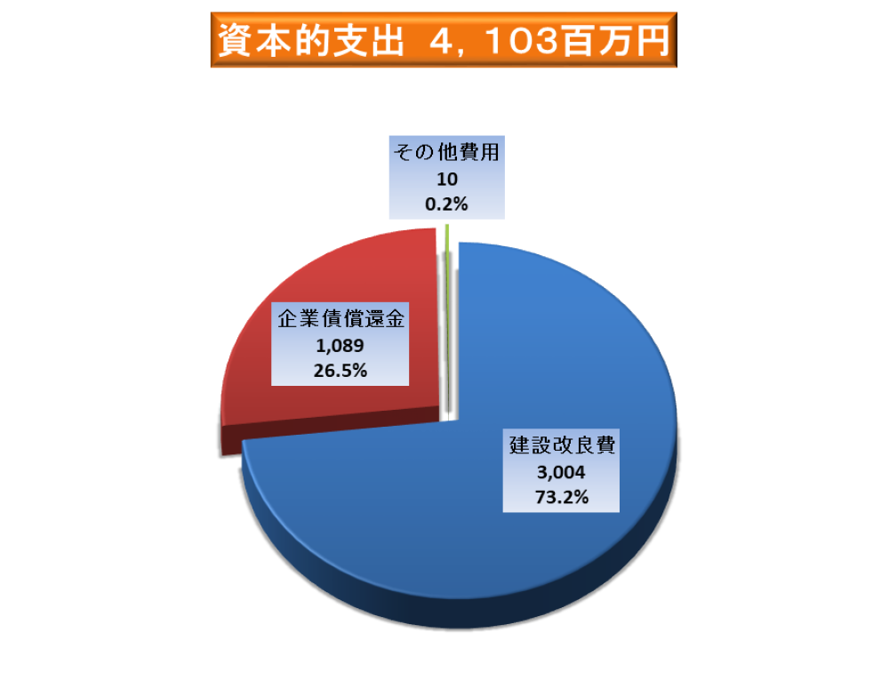 資本的支出