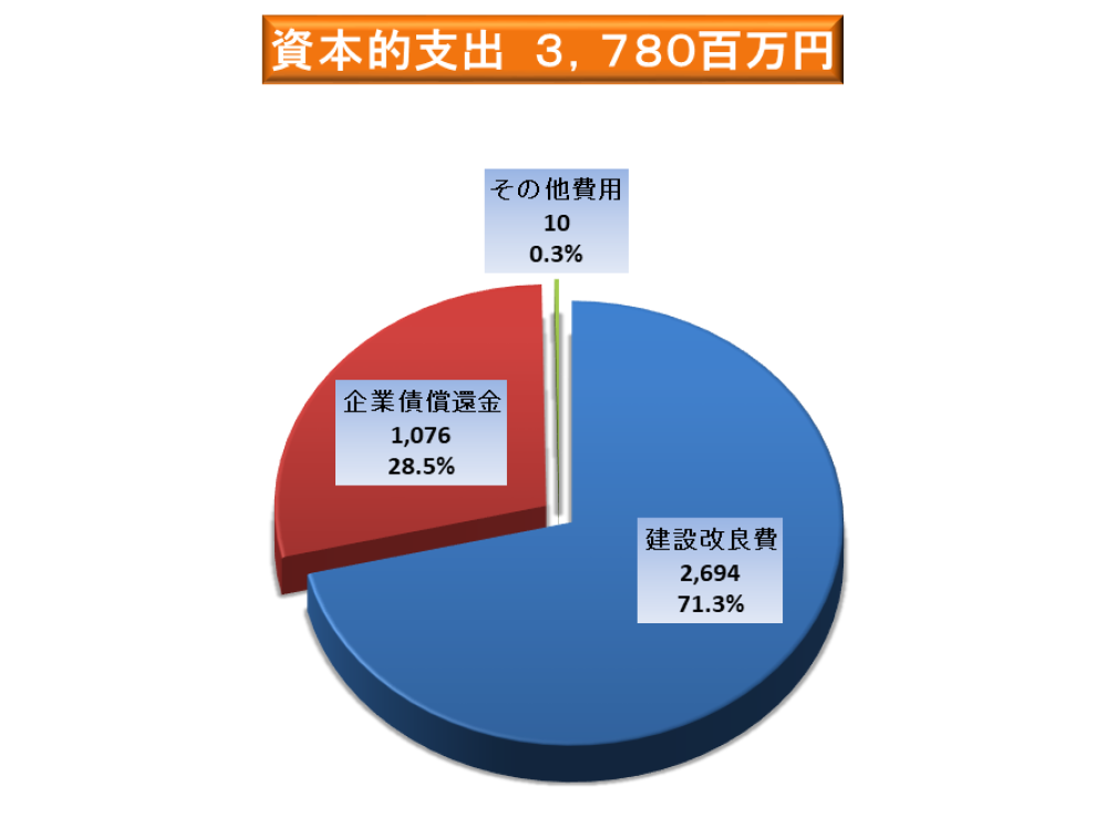 資本的支出