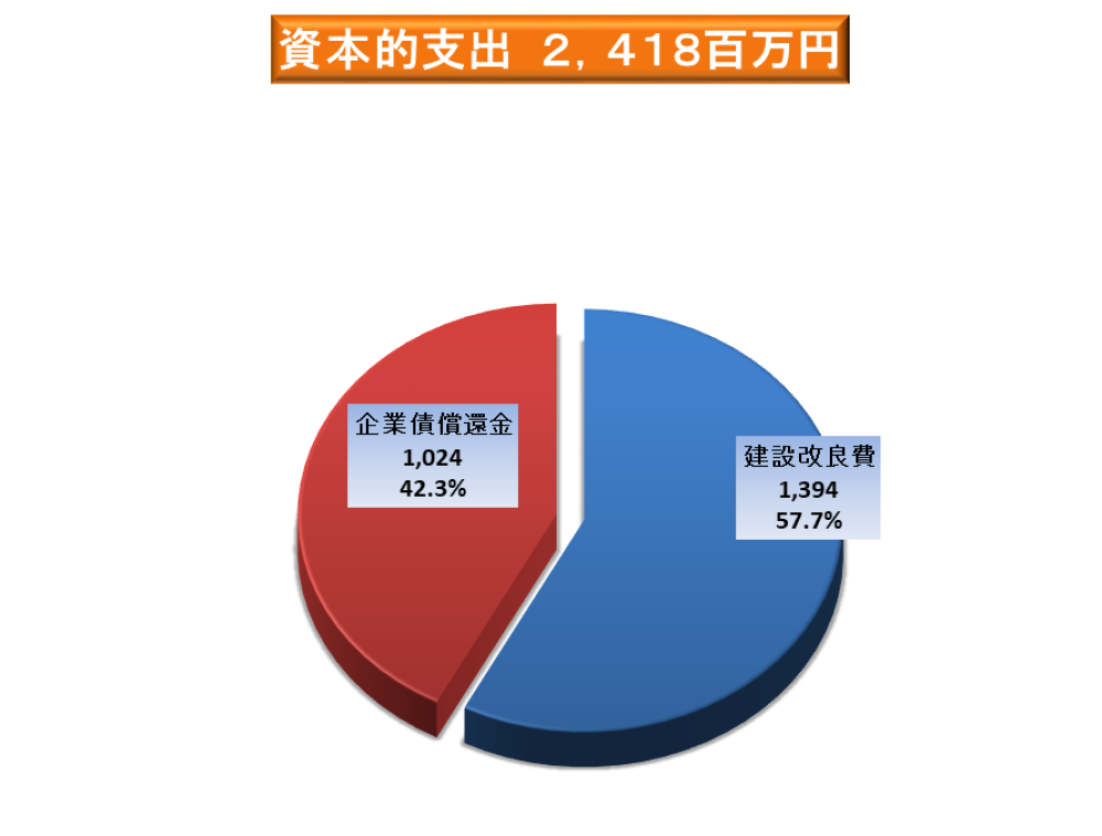 資本的支出