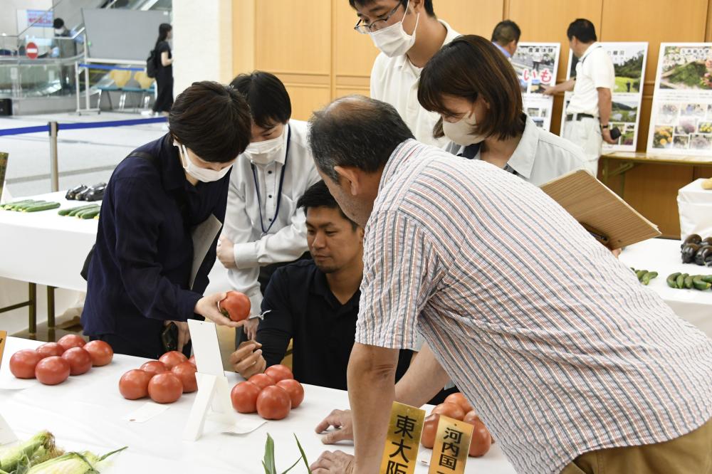 一つひとつ野菜を確認していく職員ら