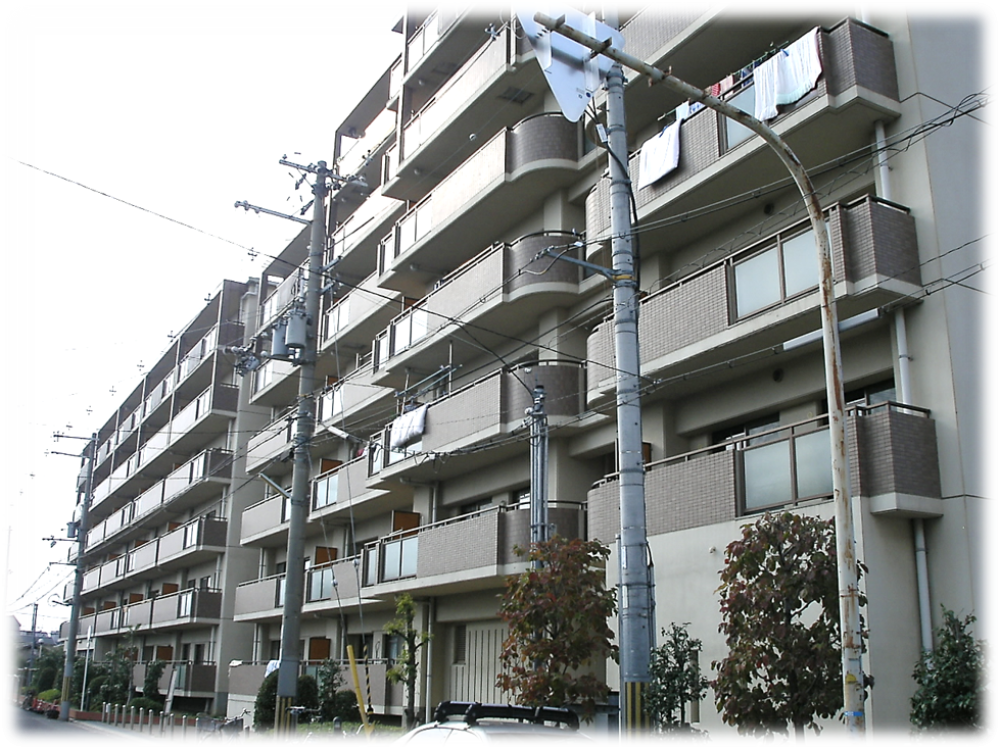 島町住宅外観