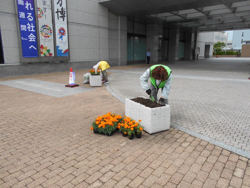 花を植えている様子