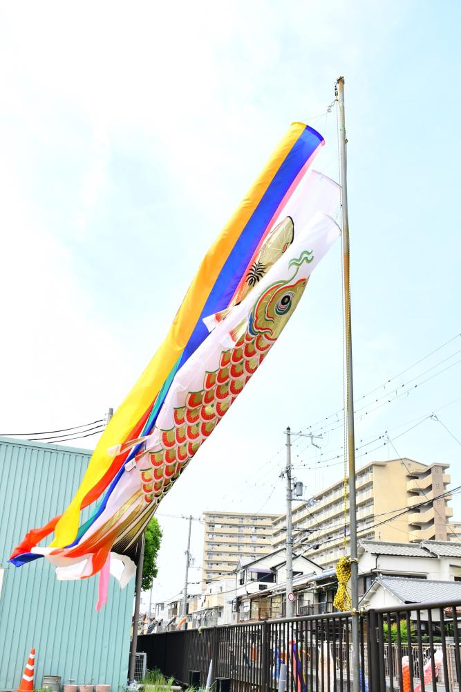 大きなこいのぼりが空を泳ぐ様子