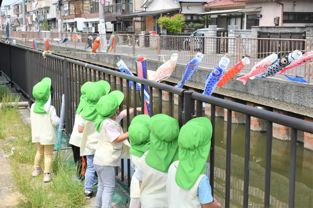 園児がこいのぼりを見ている様子
