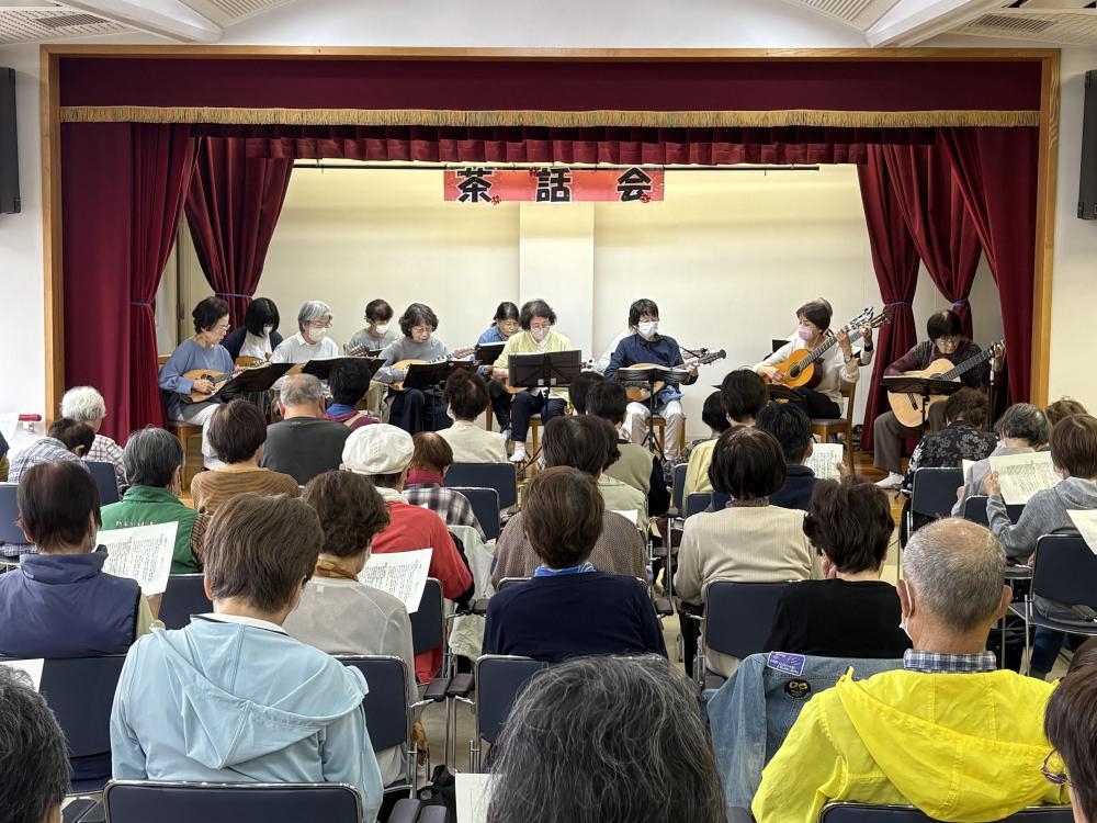 マンドリンの写真1