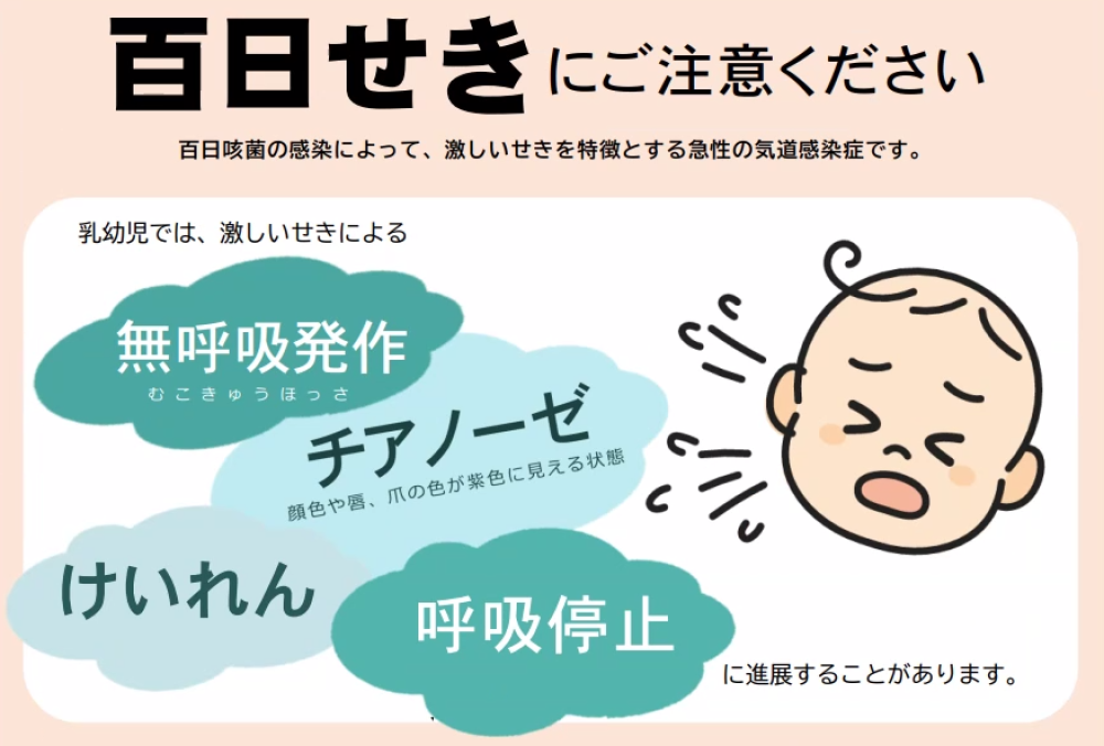 百日せきにご注意ください