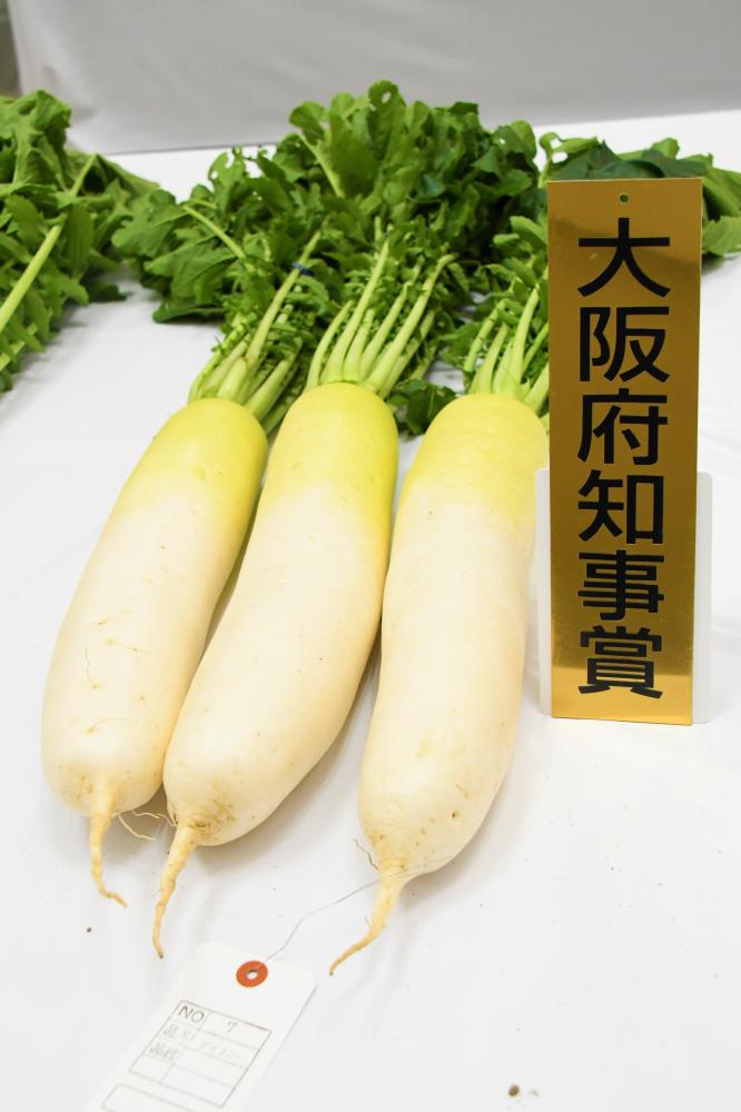 最優秀賞の大根