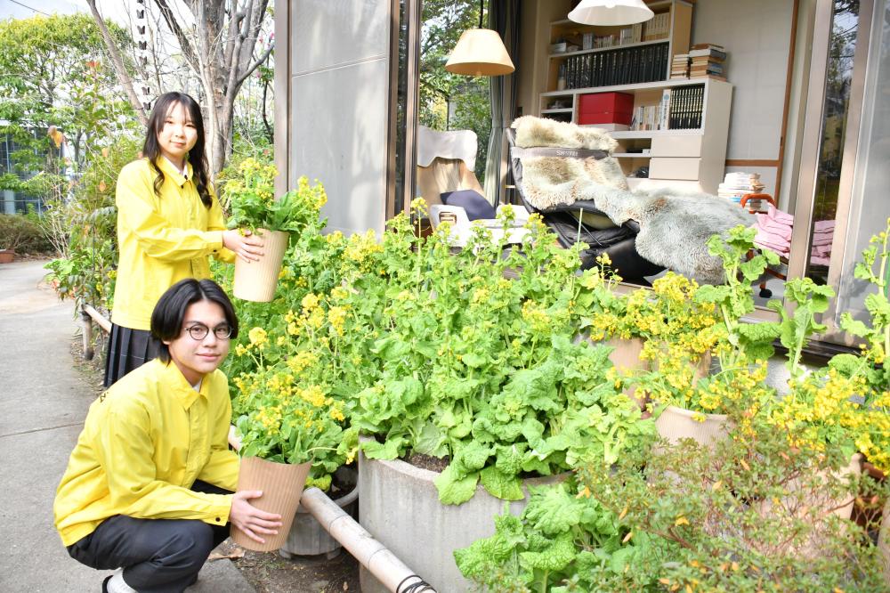 布施高校の生徒が飾り付け