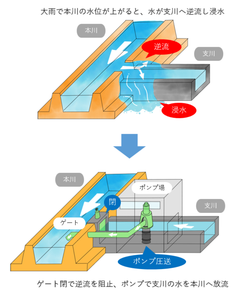 河川排水ポンプが支川の水を本川へ放流している画像