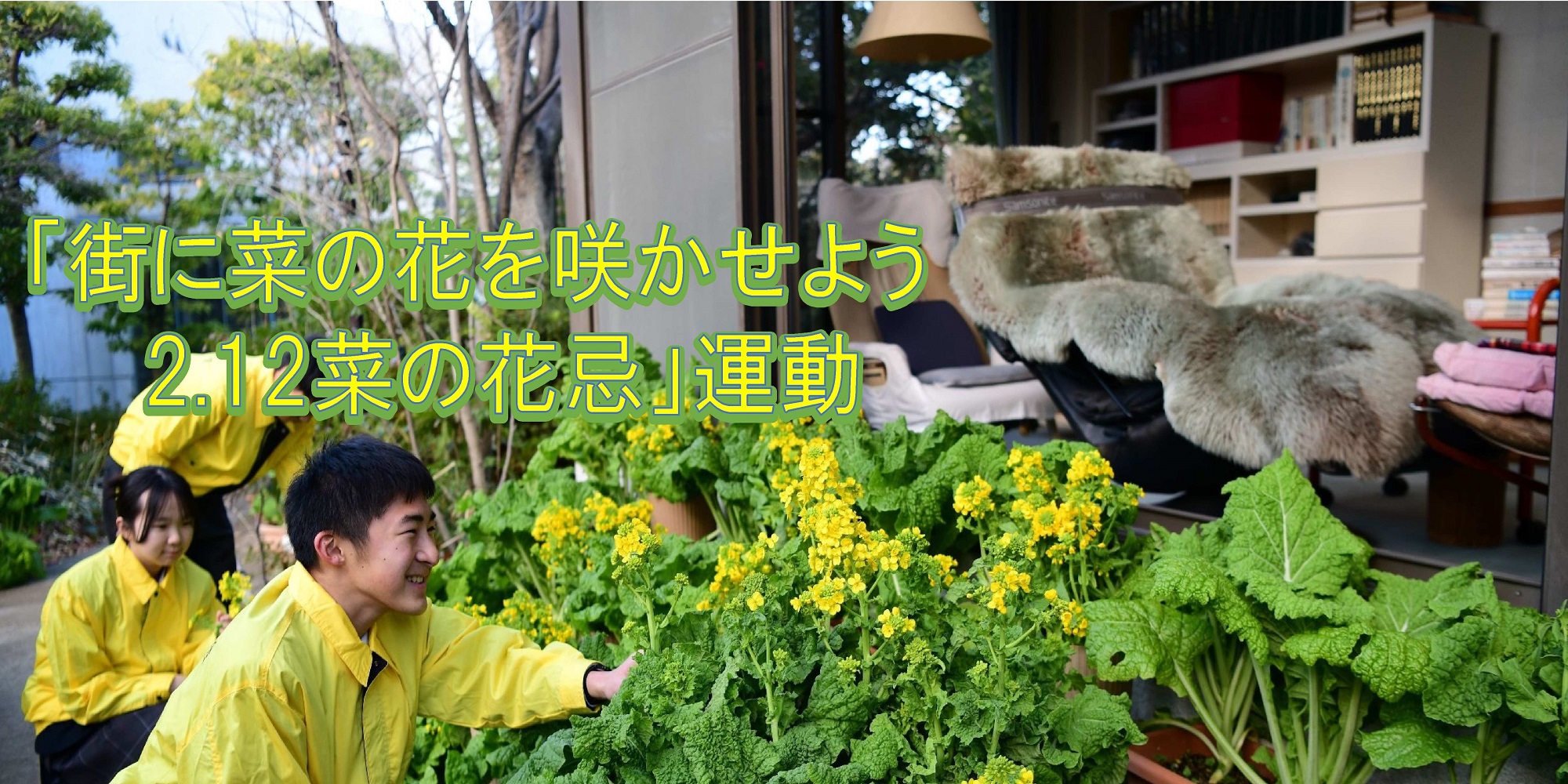 メインビジュアル4(菜の花)