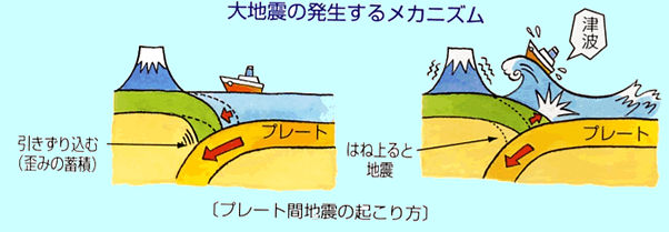 大地震発生のメカニズムです。プレート同士がぶつかり合って、それが下に引きずり込みます。その時の歪の蓄積が跳ね返るときに大地震が発生します。